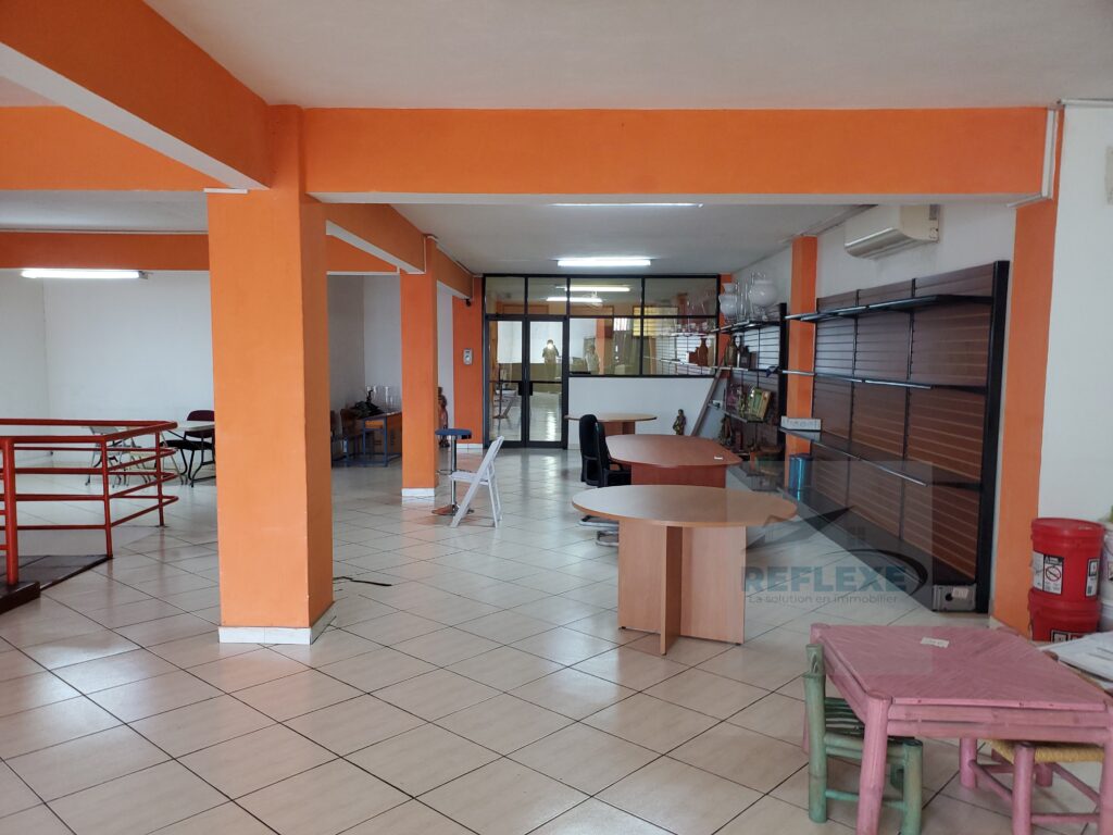 Espace Commercial — Delmas