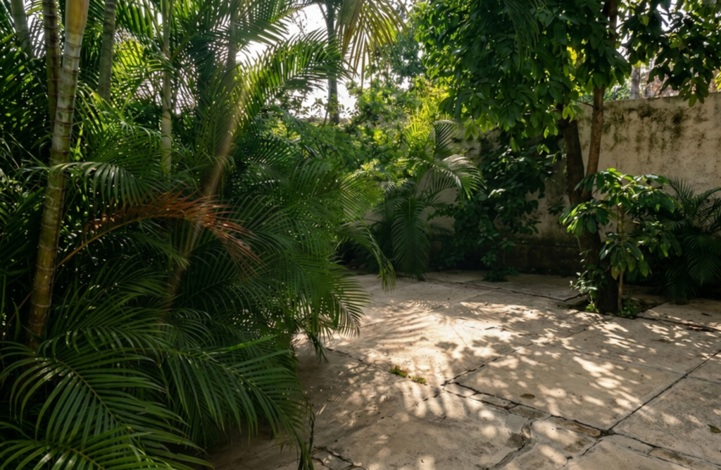 Appartement meublé, Haut Delmas, Delmas - photo 7