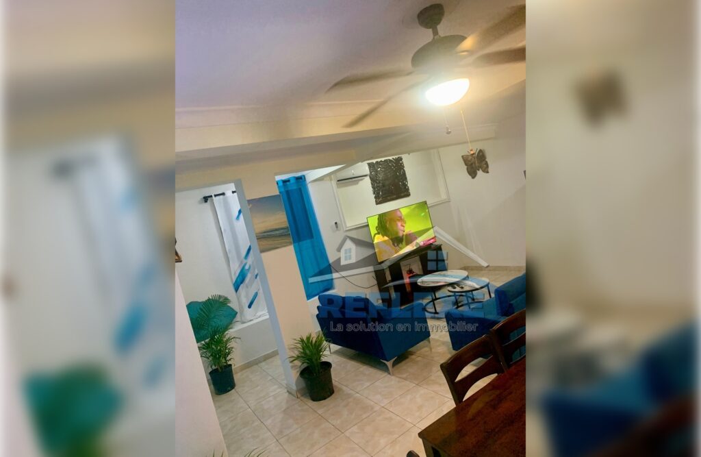 Appartement meublé, Pétion-Ville, Petion-Ville - photo 8
